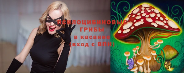альфа пвп Медвежьегорск