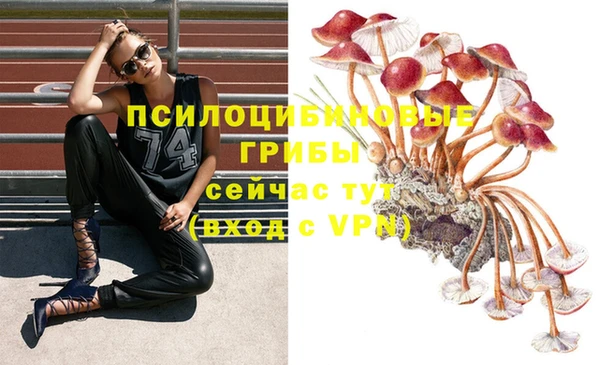прущие крисы Мегион