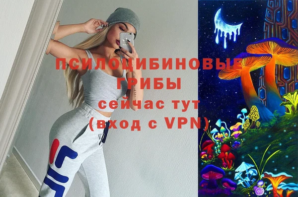 ECSTASY Майский