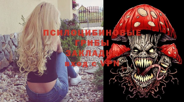 дурь Магас