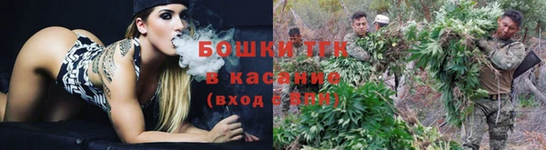 прущие крисы Мегион
