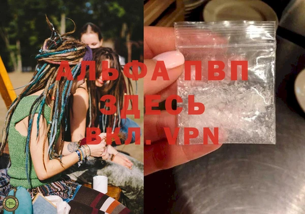 дурь Магас